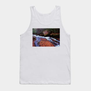 Seasonal Contrast Tank Top